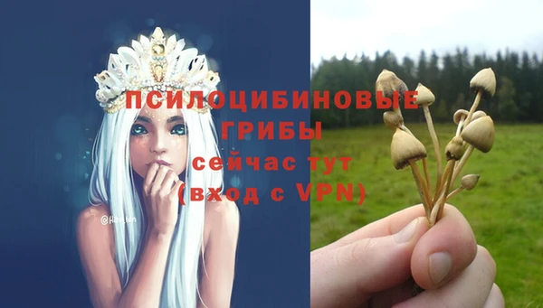 кокаин колумбия Инта