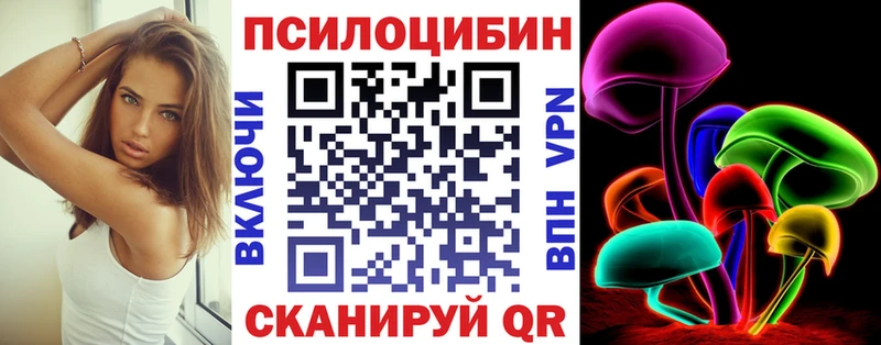 купить закладку  Костерёво  darknet официальный сайт  Псилоцибиновые грибы Psilocybe 